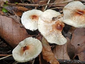 P1190046