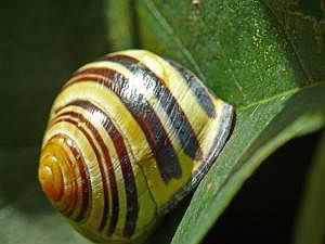P1190121