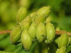 P1120966
