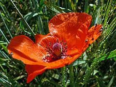 P1120980