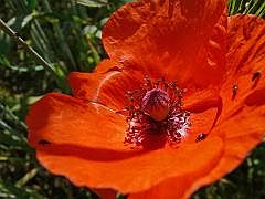 P1120981