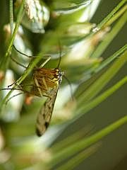 P1120994