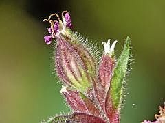 P1130033