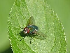 P1130042