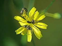 P1130057