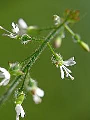 P1130066