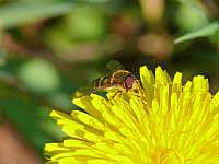 10-P1060068