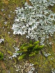 P1100805