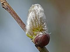 P1100809