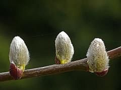 P1100810