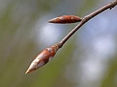P1100816