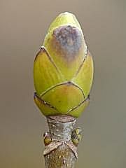 P1100825
