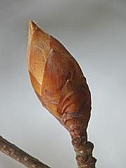 P1100828