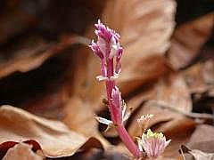 P1100835