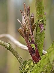 P1100841