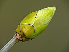 P1100870