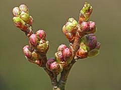P1100957
