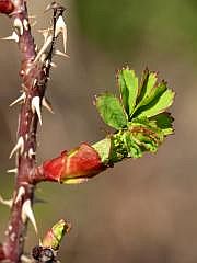P1100965