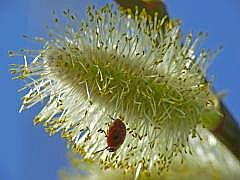 P1100983
