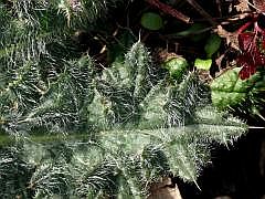P1100993