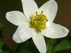 P1110016