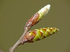 P1110020