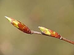 P1110023