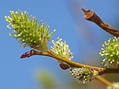 P1110026