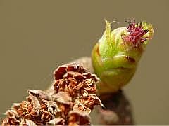 P1110045