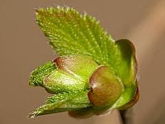 P1110059