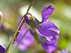 P1110068