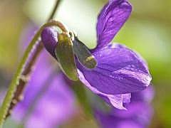 P1110071