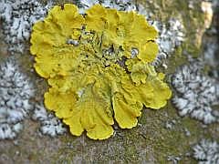 P1110075
