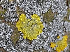 P1110076
