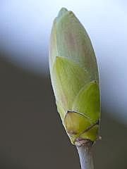 P1110087