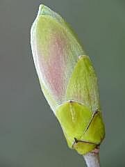 P1110088