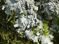 P1110090