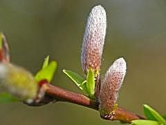 P1110100