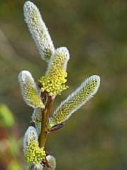 P1110104