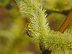 P1110125