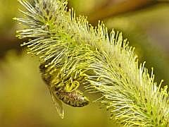 P1110132