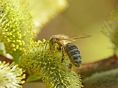P1110144