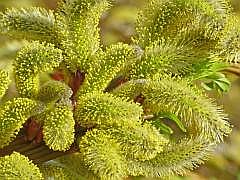 P1110163