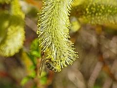 P1110184