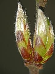 P1110201