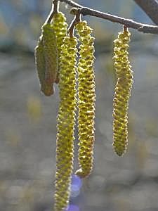 P1190350