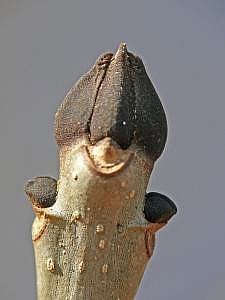 P1190402