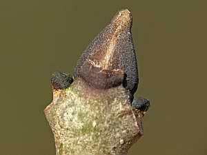 P1190413