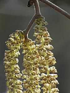 P1190482