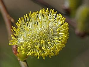 P1190504